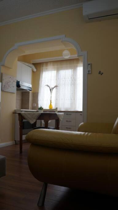 Alle'S M Shyri Studio Apartment 地拉那 外观 照片