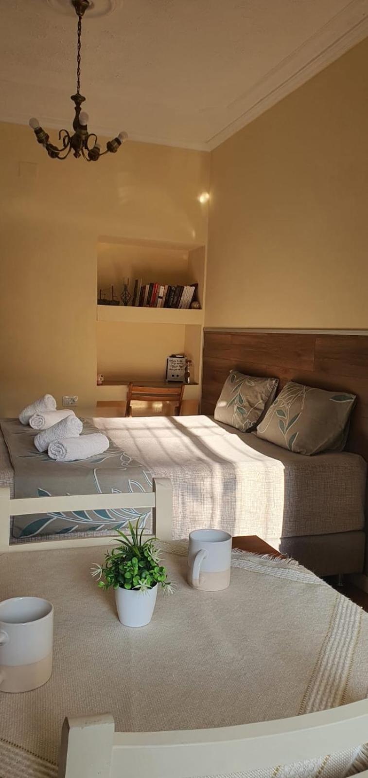 Alle'S M Shyri Studio Apartment 地拉那 外观 照片