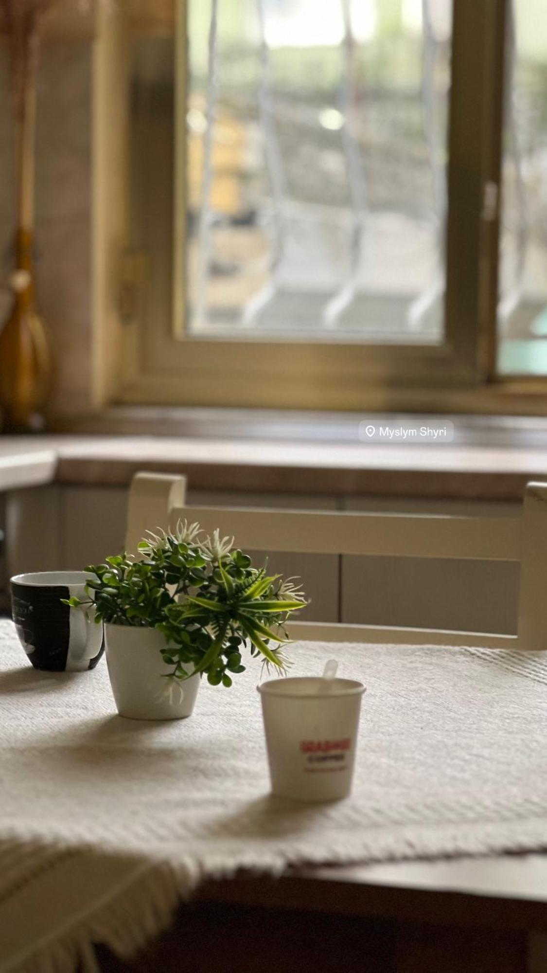 Alle'S M Shyri Studio Apartment 地拉那 外观 照片